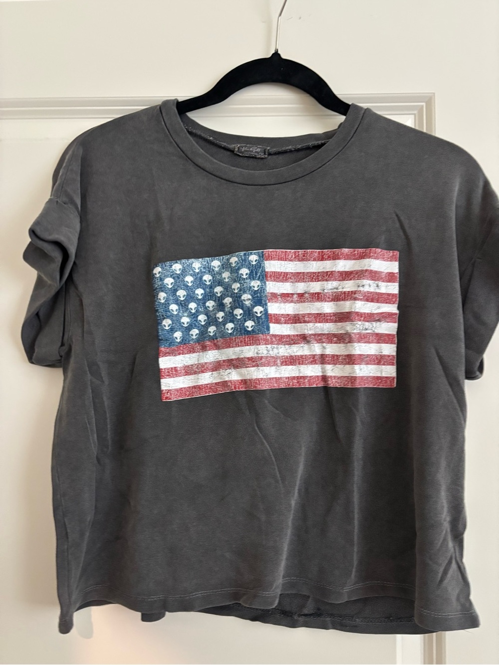 Vintage Brandy Melville Alien American Flag Tee- Cropped